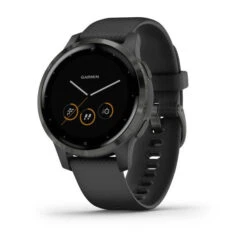 Garmin Vívoactive 4s Black With Slate (PVD Black/Gunmetal)